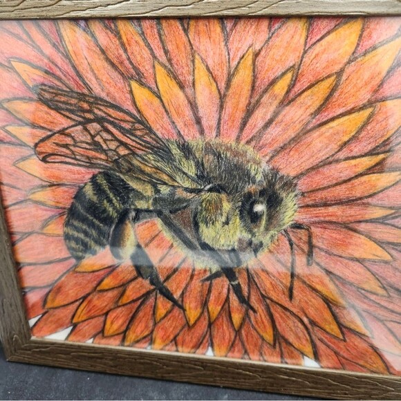 Handmade Framed Pencil Art Honey Bee Red Flower Original Colored Drawing - Picture 1 of 14
